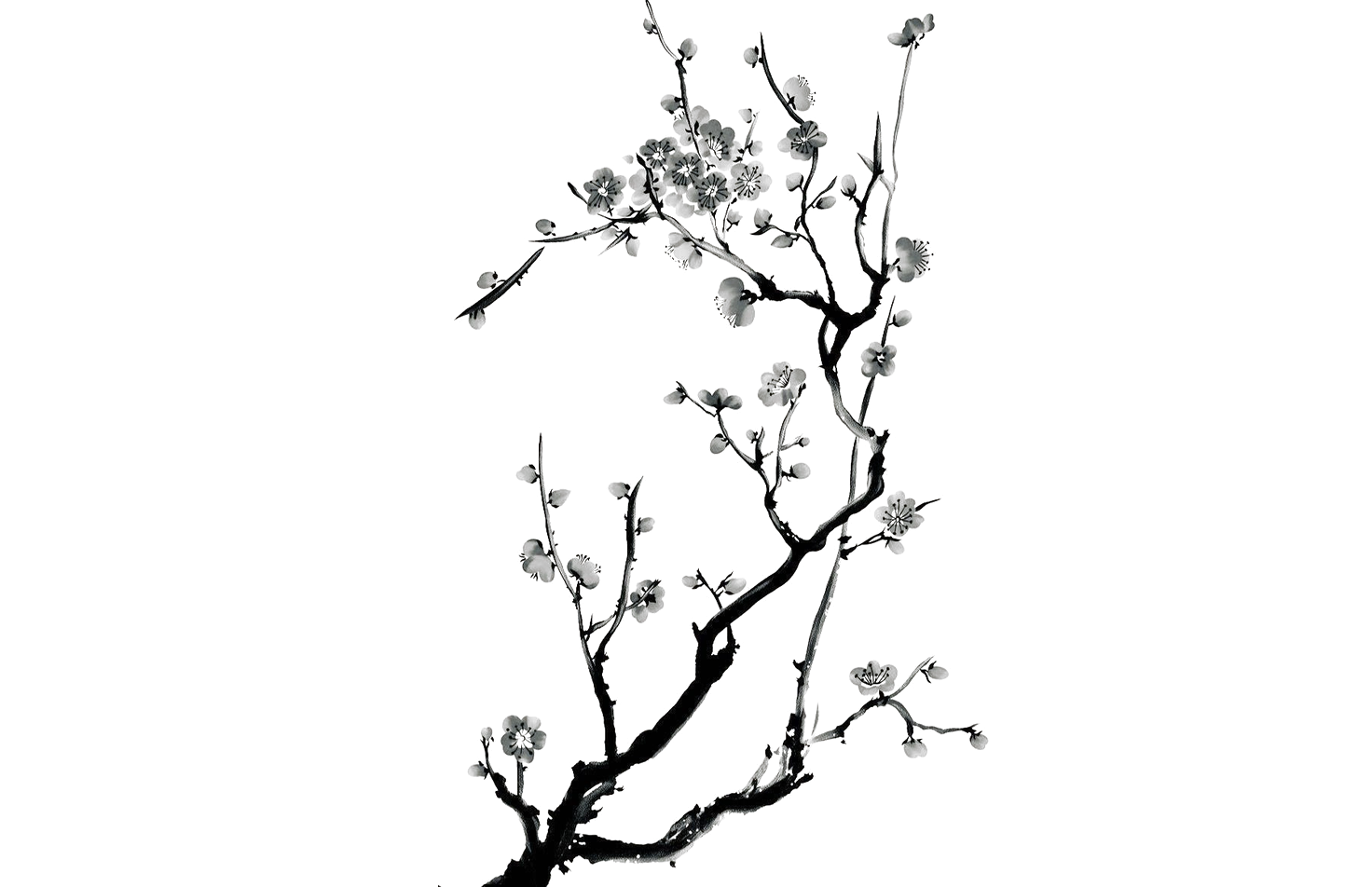 An ink branch of plum blossom reaching into a pale sky; sentences stream from its branches like wind.