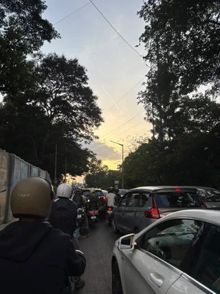 A tree-lined road under a pale evening sky.